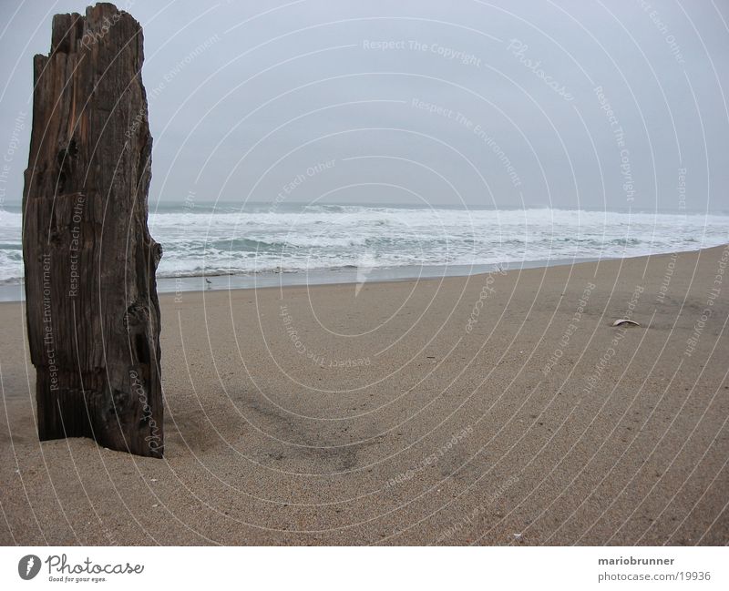 highway_no1_beach Beach Ocean Waves Pacific Ocean Wood California Loneliness Empty Sand Joist USA Pacific beach Sandy beach Deserted Log White crest Surf Swell