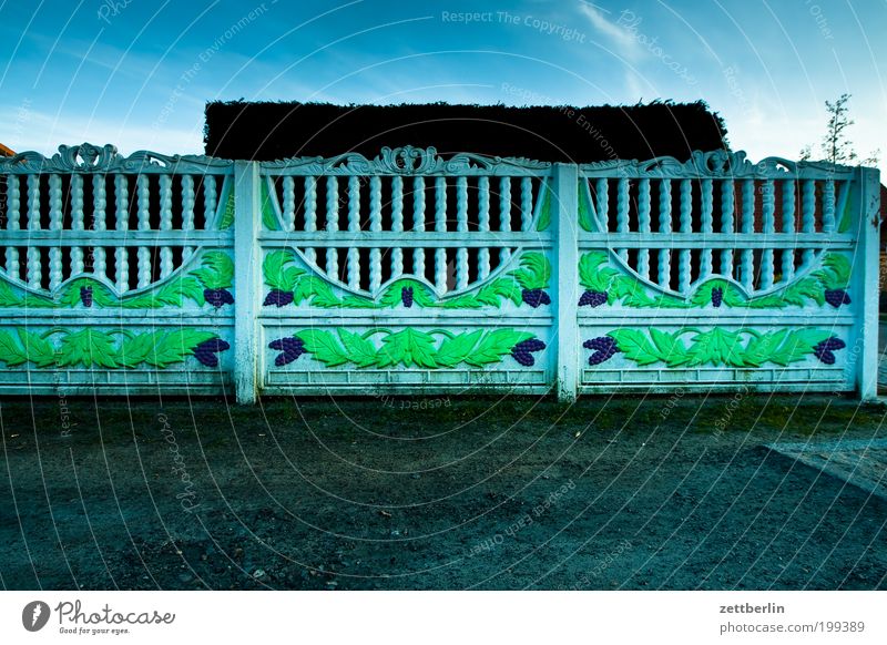 evening Fence Neighbor's garden Border Real estate Boundary line Neighbor's house Village Small Town Living or residing Decoration Kitsch Tendril Hedge