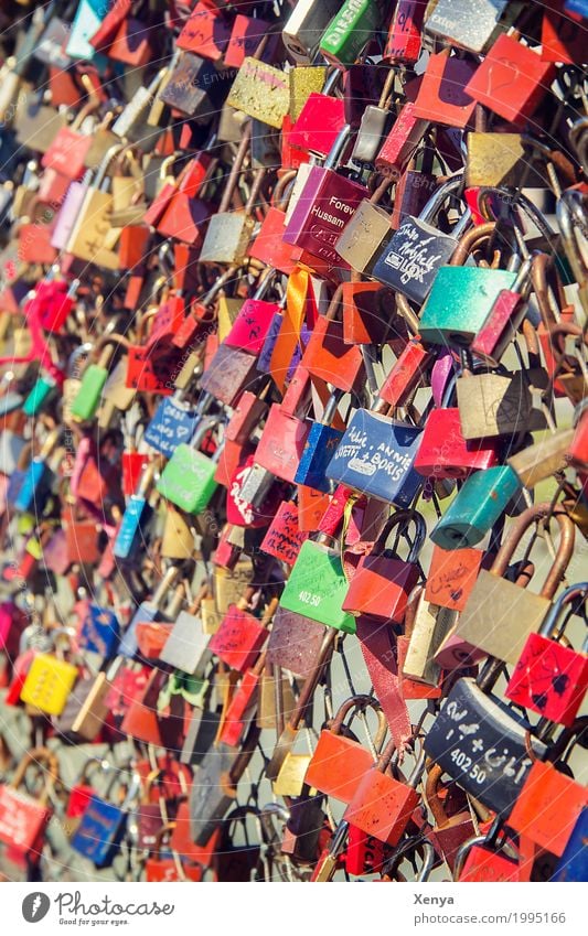 Padlocks of love bicycle lock Metal Multicoloured Love Loyalty Romance Wedding Lock Couple Bridge Lovers Married Town Emotions Colour photo Exterior shot