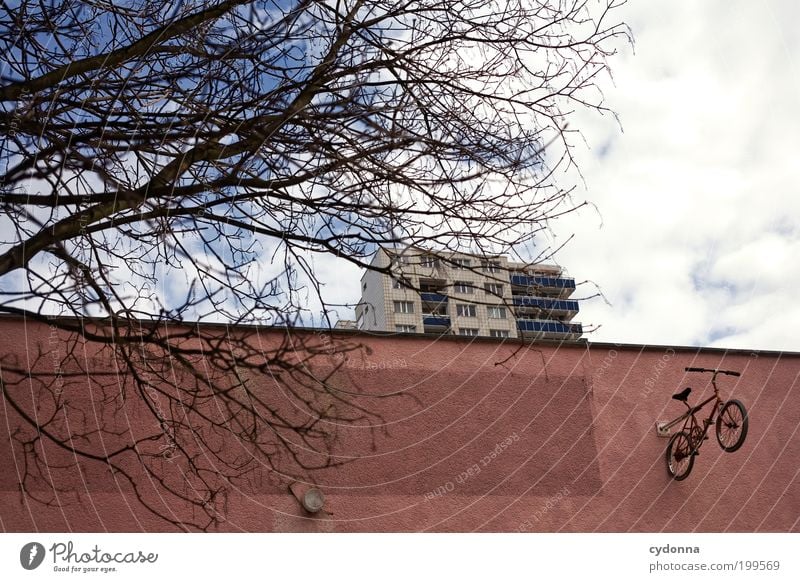 [HAL] I want to ride my Bicycle Lifestyle Style Design Leisure and hobbies Freedom Environment Sky Tree Town Architecture Wall (barrier) Wall (building) Facade