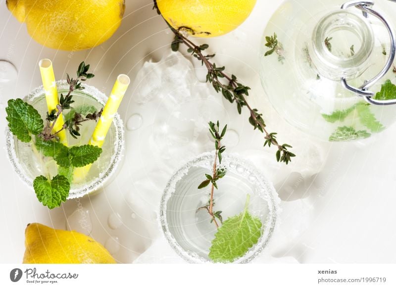 Lemon lime with mint and thyme homemade Fruit Herbs and spices Thyme Mint leaf Sugar Beverage Drinking Cold drink Drinking water Lemonade Bottle Glass Straw