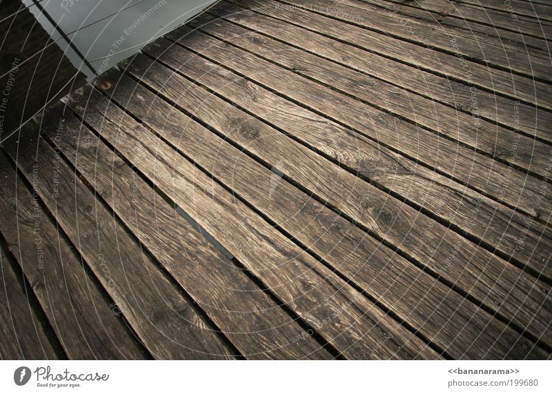 footbridge Wood Water Brown Wooden board Footbridge Bridge Structures and shapes Floor covering Line Colour photo Deserted Wide angle Terrace