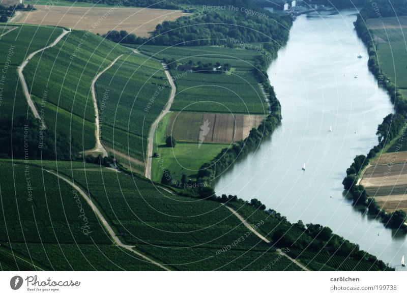 course of a river Environment Nature Landscape Water Summer Climate Field River Gray Green Silver Vineyard Wine growing Neckar Swabian Curved Walking line