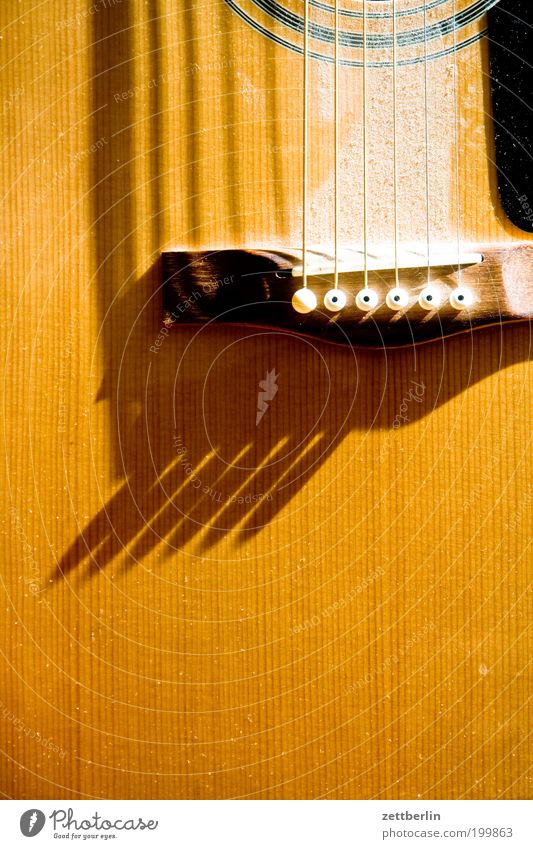 Bright Guitar Music Musical instrument Musical instrument string String instrument Dust Light Shadow Wood Acoustic Close-up Yellow