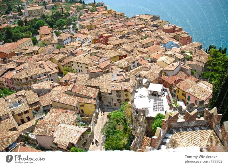 Over the roofs of...... Vacation & Travel Tourism City trip Summer vacation House (Residential Structure) Beautiful weather Coast Bay Lake Lake Garda Malcesine