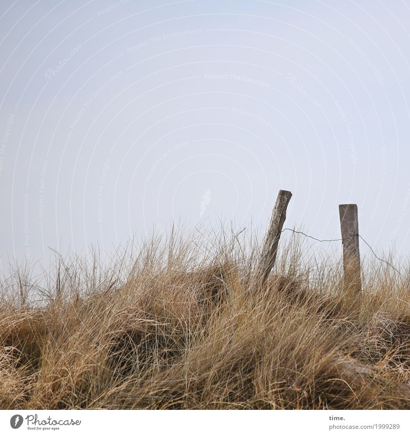 Voltage|drop Vacation & Travel Fence Fence post Sky only Agricultural crop Coast Beach dune Marram grass Nature reserve Wood Metal Signs and labeling Stand