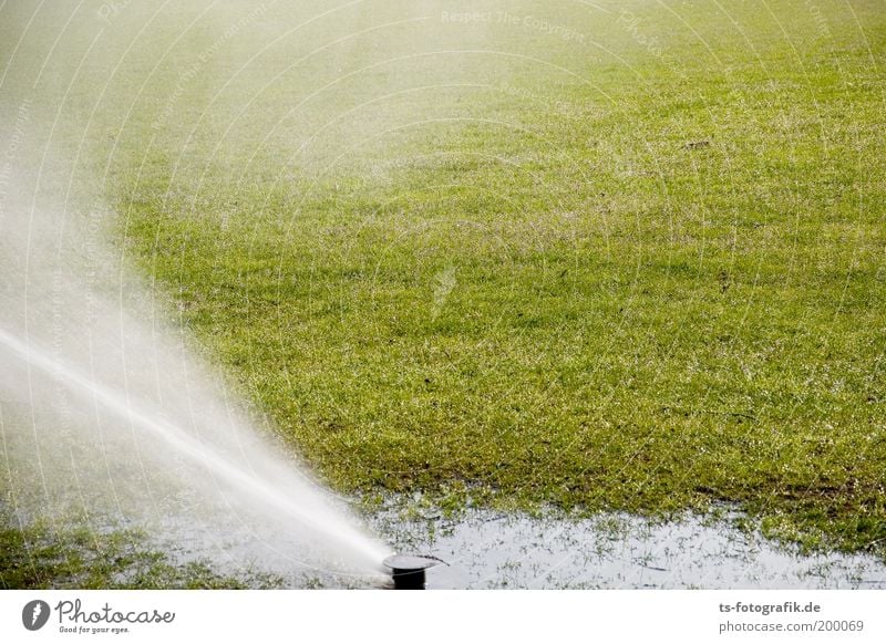 wet grass fun Sporting Complex Football pitch World Cup South Africa Gardening Gardener Water Drops of water Summer Climate change Weather Beautiful weather