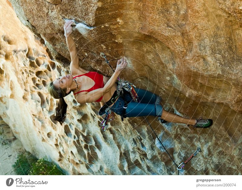 Female climber clinging to a cliff. Adventure Climbing Mountaineering Rope Young woman Youth (Young adults) 18 - 30 years Adults Hang Athletic Tall