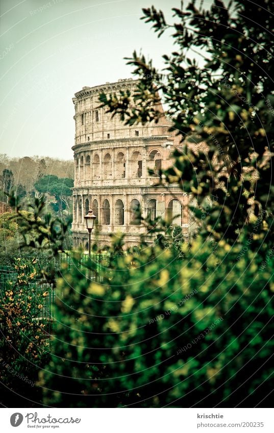 colloseum Downtown Manmade structures Facade Tourist Attraction Stone Vacation & Travel Colour photo Exterior shot Deserted Twilight Light Deep depth of field
