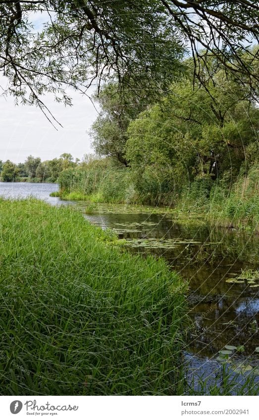 green lake Summer Nature Climate Brandenburg calm countryside cross day Havel Havel Land havel cycle path landscape natural nobody reflection river rural