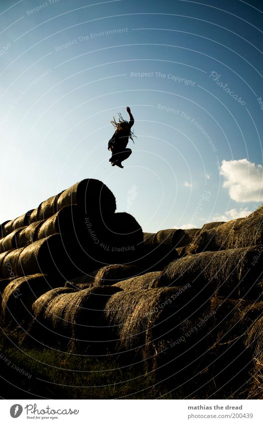 Standing still Lifestyle Joy Parkour Human being Masculine Young man Youth (Young adults) 18 - 30 years Adults Environment Nature Landscape Plant Sky Summer