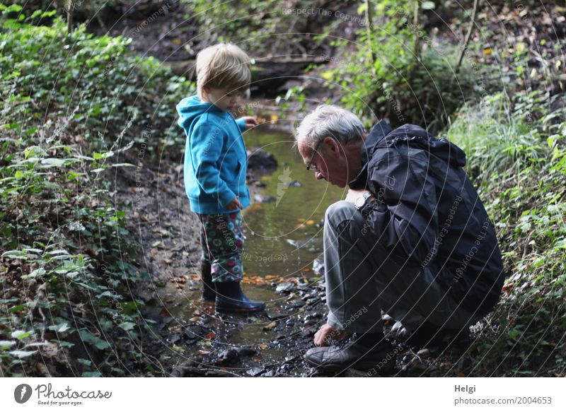 little boy and his grandfather are on a discovery tour at a brook in the forest Human being Masculine Toddler Boy (child) Male senior Man Grandfather Infancy