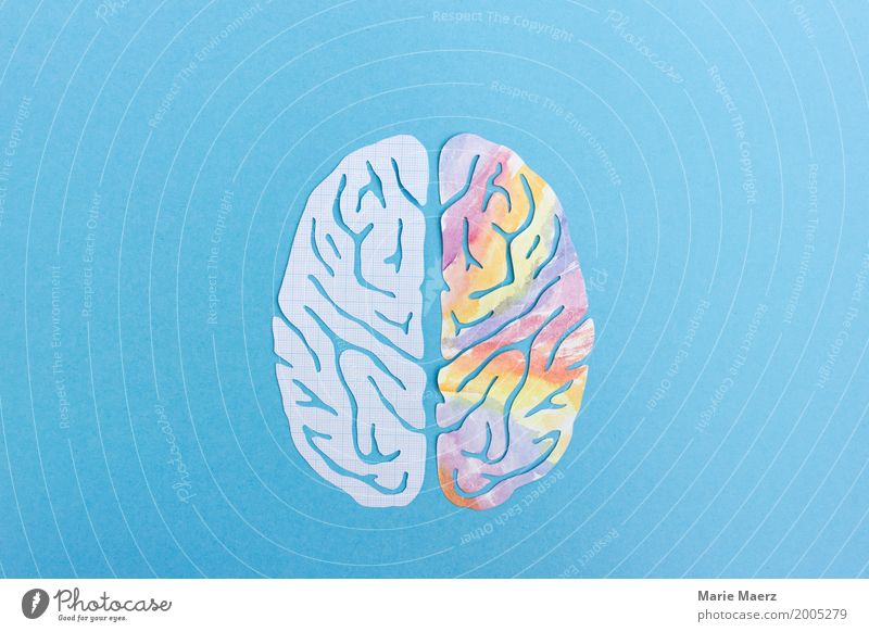 Left Brain Halves, Right Brain Half - Logic & Creativity Brain and nervous system Think Study Reading Together Curiosity Blue Multicoloured Power Experience