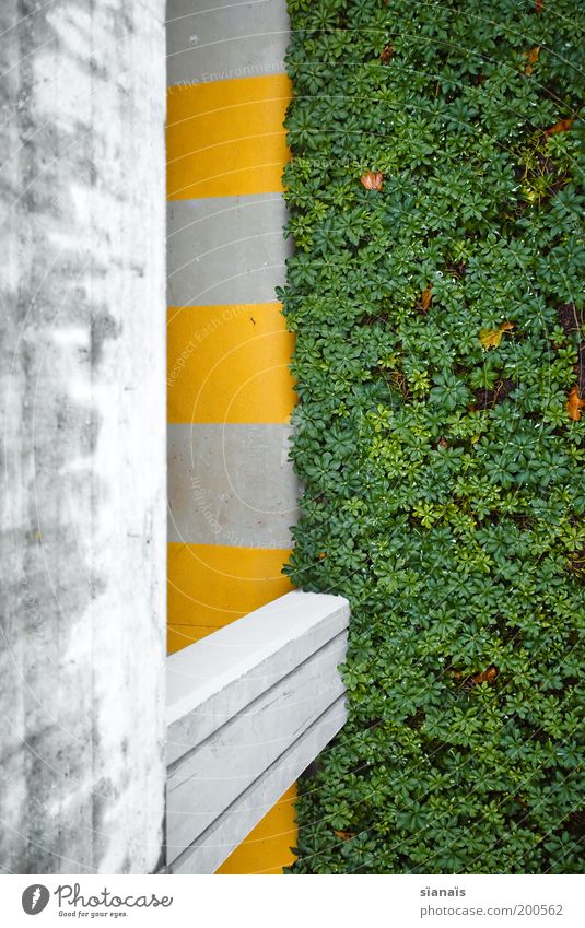 LE VERT Manmade structures Parking garage Wall (barrier) Wall (building) Yellow Gray Green Pedestrian precinct Pedestrian underpass Zebra crossing Plant Graphic