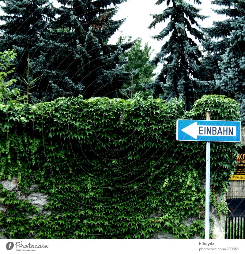 one-way Garden Environment Nature Plant Road sign Signs and labeling Observe One-way street Signage Left Arrow Direction Trend-setting Colour photo