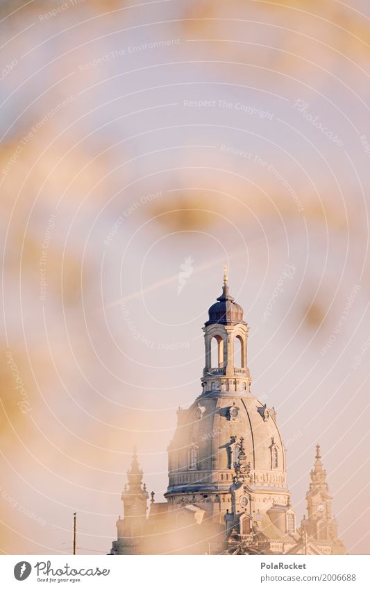 #A# Dresden in spring I Art Esthetic Frauenkirche Baroque Baroque garden Spring Spring day Spring colours Spring celebration Domed roof Tower Sky Blossoming
