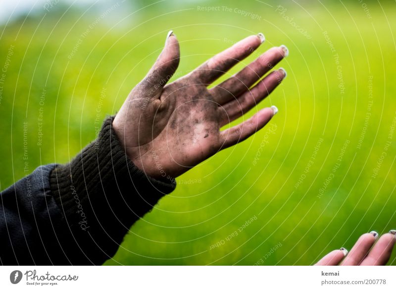 Hands like a construction worker Skin Hiking Human being Feminine Woman Adults Arm Fingers 1 Environment Nature Plant Foliage plant Meadow Brown Green Dirty
