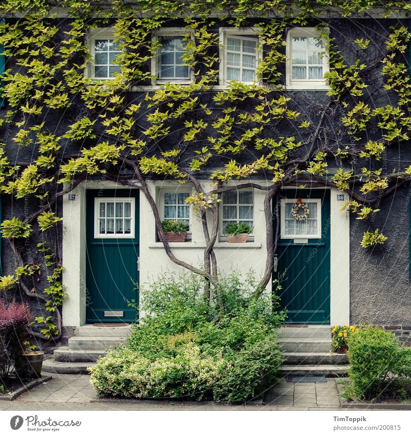 In Wonderland #1 House (Residential Structure) Facade Green facade Fairy tale Fairytale castle Door Window Front garden Jinxed Ivy Wall (building)