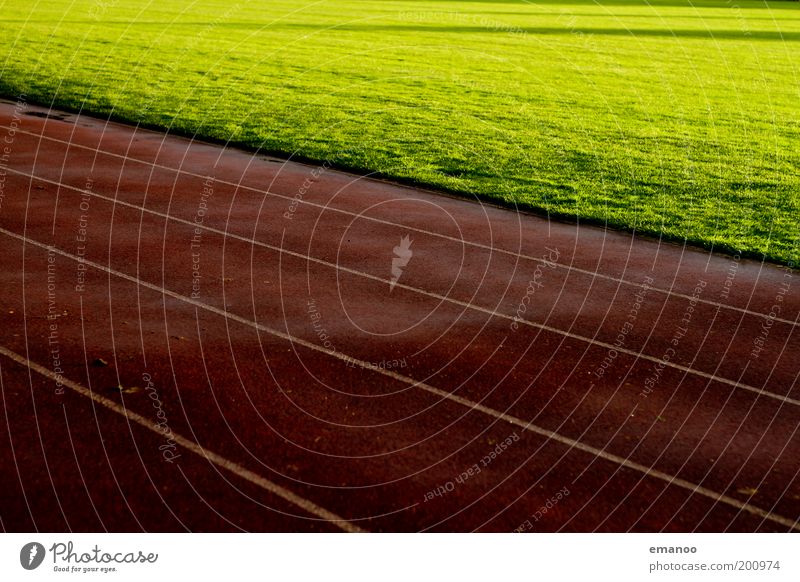 racecourse Sports Track and Field Sporting event Sporting Complex Football pitch Stadium Sun Grass Meadow Dark Wet Warmth Green Red Line Running sports