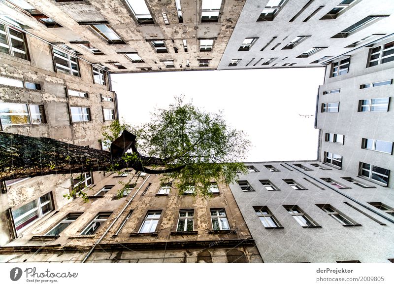 Backyard with a view of the sky II Gloomy Copy Space bottom Copy Space left Multicoloured real estate house purchase Real estate market Vacation & Travel