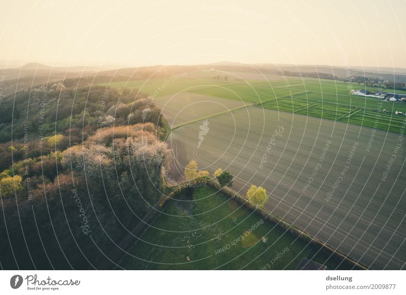 Bird's eye view from the farm at dusk Environment Nature Landscape Sunrise Sunset Spring Beautiful weather Meadow Field Forest Eifel Free Fresh Healthy