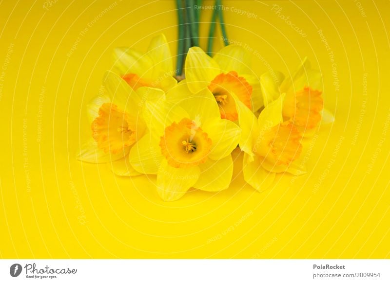 #AS# Easter Yellow III Art Esthetic Flower Bouquet Narcissus Gaudy Nature Mother's Day Colour photo Multicoloured Interior shot Studio shot Close-up Detail