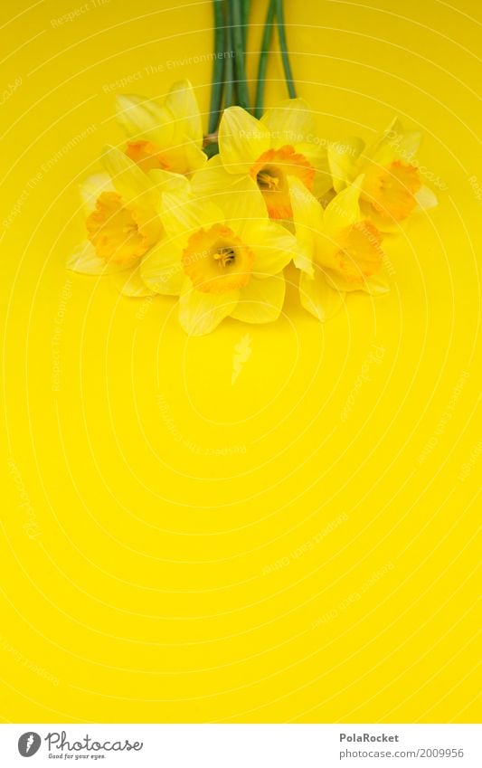 #AS# Easter Yellow I Art Esthetic Easter egg nest Easter wish Easter Monday Easter gift Flower Bouquet Spring Spring flower Spring colours Spring celebration