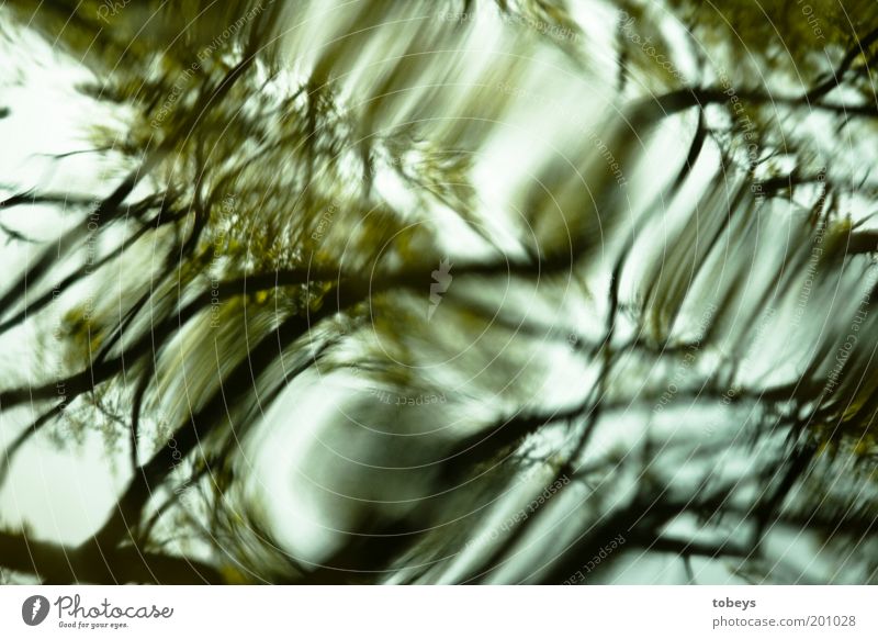 drunk Environment Nature Water Waves Flow Whirlpool Bend Unclear Blur Dream Spooky Colour photo Exterior shot Experimental Abstract Pattern