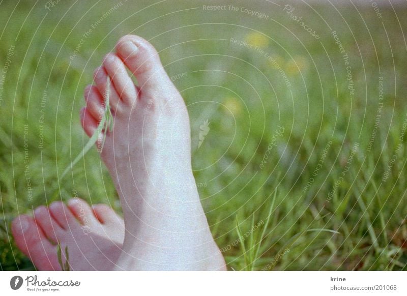 barefoot Trip Garden Feet - a Royalty Free Stock Photo from Photocase