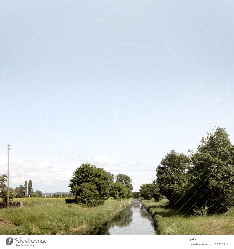 fair weather day Nature Landscape Sky Beautiful weather Plant Tree Grass Foliage plant Wild plant Meadow Brook Spring fever Colour photo Exterior shot Deserted