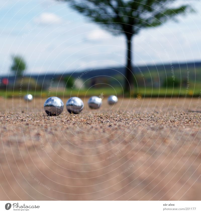 Boule ACTION Boules Career Success Team Sand Summer Tree Grass Metal Sphere Blue Brown Green Silver Calm Leisure and hobbies Copy Space bottom 4 Single-minded