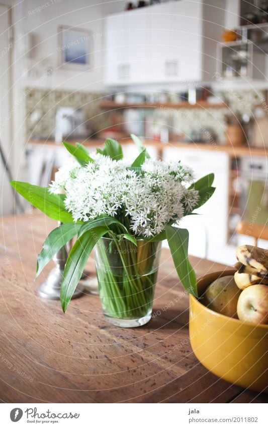 wild garlic Living or residing Flat (apartment) Table Kitchen Bowl Decoration Bouquet Esthetic Fragrance Simple Friendliness Colour photo Interior shot Deserted