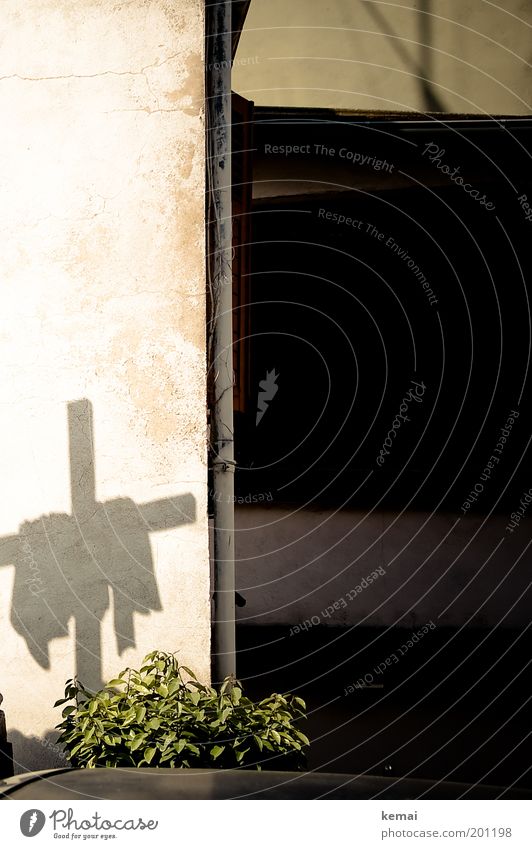 A cross Feasts & Celebrations Pentecost Culture Plant Foliage plant Wall (barrier) Wall (building) Drainpipe Christian cross Shadow Rag Silhouette Sign Black
