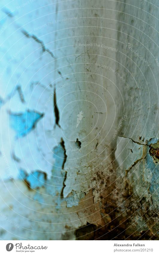 skin aging Wallpaper Room Cold Blue Mold Damp Damage Broken Patch of colour Crack & Rip & Tear Flake off Corner of the room Dirty Colour photo Interior shot