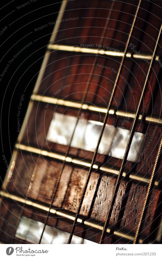 my hobby Leisure and hobbies Music Guitar Glittering Near Brown Black Guitar neck Guitar string Musical instrument string String instrument Wood Mother-of-pearl