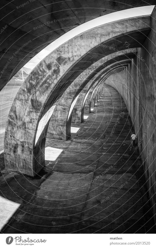 always on the wall long Harbour Manmade structures Architecture Wall (barrier) Wall (building) Tunnel Walking Dark Black White Curve Concrete Light Shadow