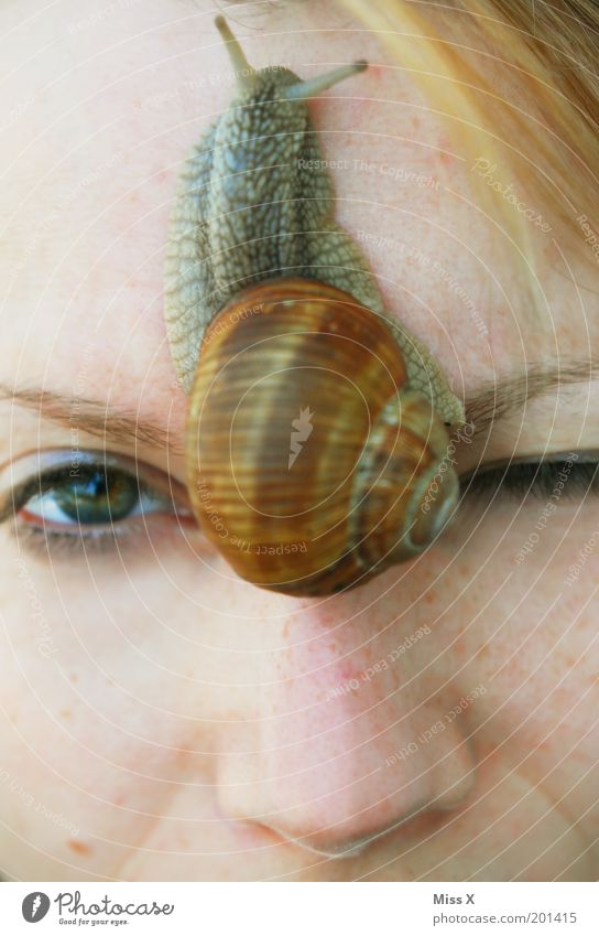 escargot Young woman Youth (Young adults) Face Eyes 1 Human being Animal Wild animal Snail Slimy Crazy Disgust Bizarre Test of courage Colour photo