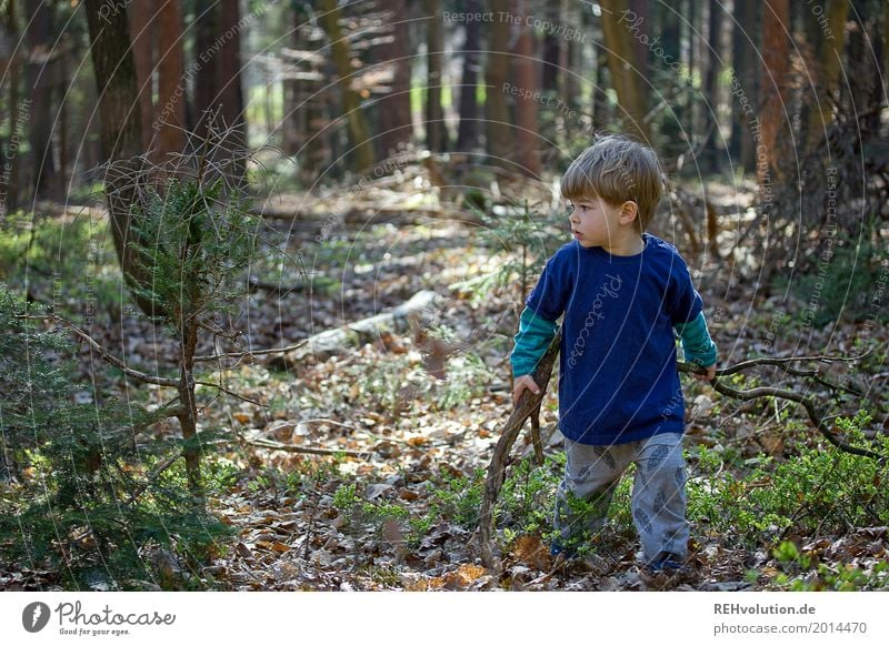 Child is on the way in the forest Trip Adventure Freedom Human being Masculine Toddler Boy (child) Infancy 1 1 - 3 years Environment Nature Spring