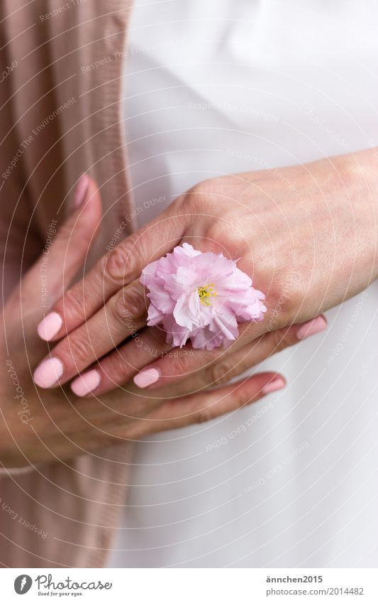 flower ring Blossom To hold on Pink Flower Cherry blossom Hand Protect powdery Pastel tone Delicate Love Ring Nail polish White Blouse Cardigan