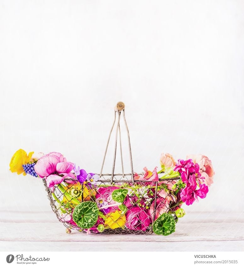 Basket with beautiful colorful garden flowers on white background Lifestyle Style Design Summer Flat (apartment) Garden Interior design Decoration