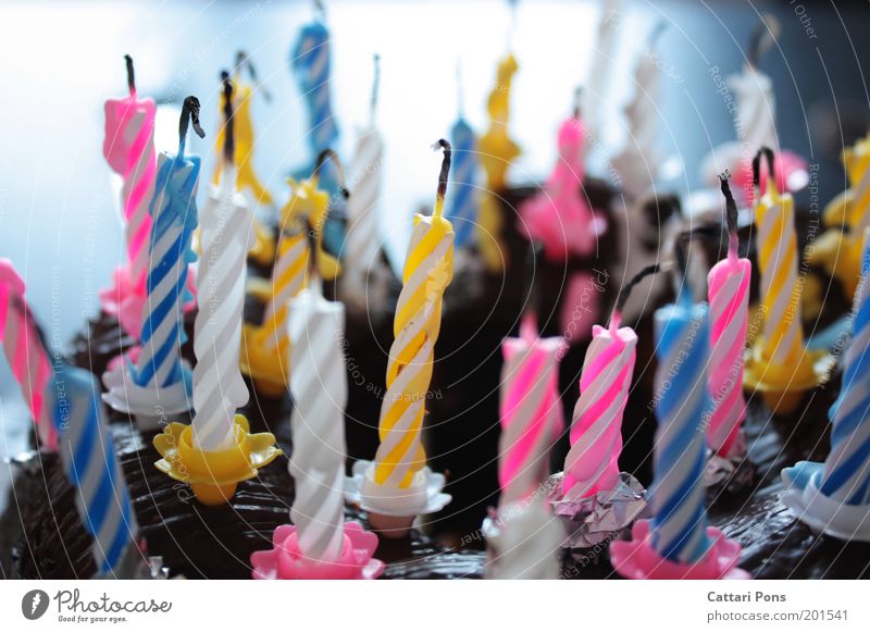 birthday candles Food Dough Baked goods Nutrition Feasts & Celebrations Birthday Decoration Candle Desire Candlewick Birthday cake Cake Deserted Colour photo
