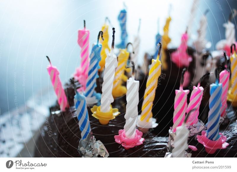 Birthday Candles II Food Dough Baked goods Dessert Candy Nutrition Joy Feasts & Celebrations To enjoy Sweet Blue Yellow Pink White Happy Happiness Hospitality