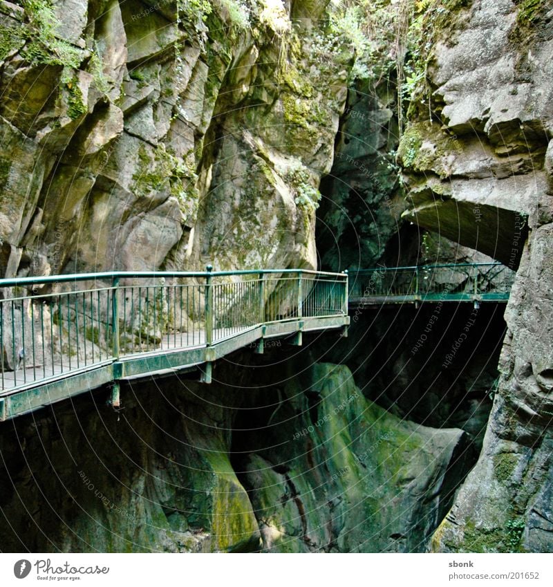 Lion's Den Moss Hill Rock Alps Mountain Eerie Lanes & trails Handrail Canyon Cave Italy Colour photo Exterior shot Deserted Green Deep