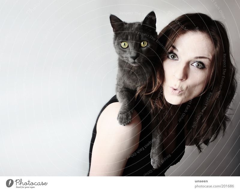 Have a Break Human being Feminine Woman Adults 1 Animal Pet Cat Looking Carrying Love of animals Posture Colour photo Subdued colour Interior shot