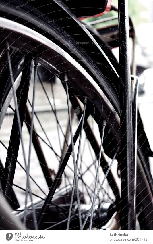 Absolute spontaneity Bicycle Simple Detail Structures and shapes Deserted Day Worm's-eye view Wheel Spokes Close-up Guard Exterior shot