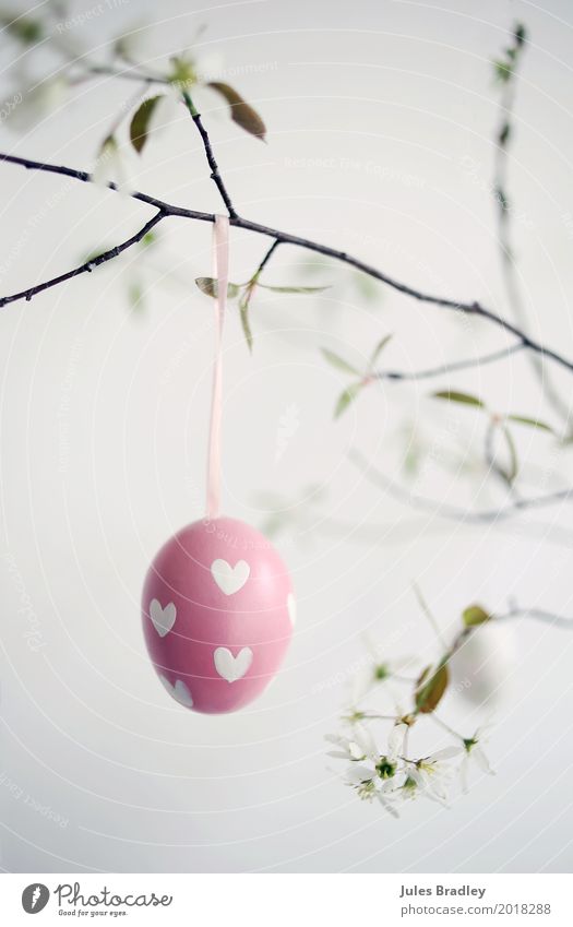 Happy Easter! Spring Twigs and branches Decoration Hang Happiness Pink White Joy Anticipation Belief Leisure and hobbies Idea Religion and faith Tradition Egg