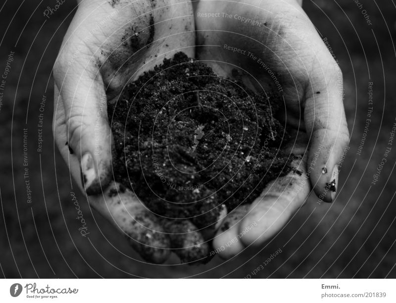 MOTHER EARTH Hand Fingers Environment Nature Earth Climate Environmental protection Growth Black & white photo Exterior shot Close-up Day Shallow depth of field