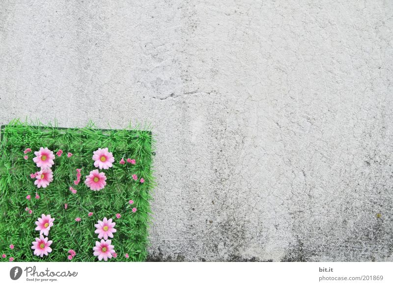 FLOWER CORNER Flower Blossom Wall (barrier) Wall (building) Facade Decoration Kitsch Odds and ends Concrete Plastic Gray Green Pink Corner Plastic world