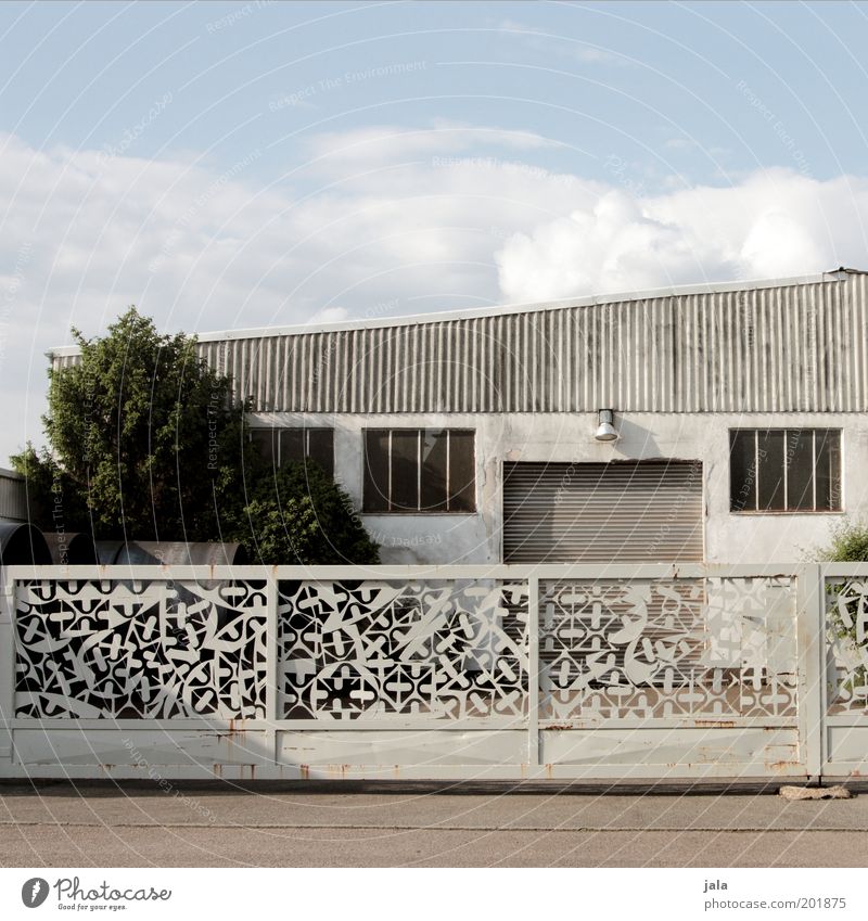 Railing gate Services Craft (trade) Sky Tree Manmade structures Building Courtyard Gate Handrail Gloomy Under Colour photo Subdued colour Exterior shot Deserted