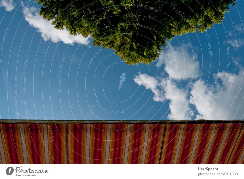deckchair perspective Sun blind Sky Clouds Spring Summer Tree Blue Multicoloured Green White Summery Garden Leisure and hobbies Striped Colour photo